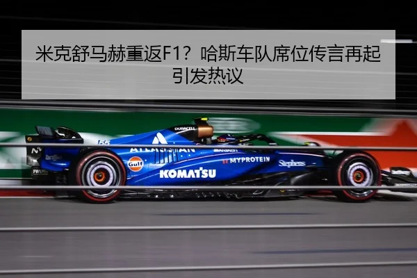 mi-ke-shu-ma-he-chong-fan-ha-si-che-dui-xi-wei-chuan-yan-zai-qi-yin-fa-re-yi-3-776.jpg