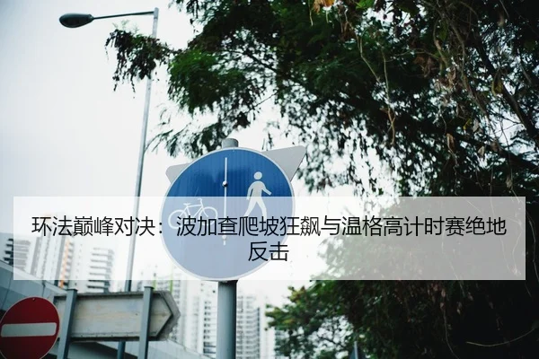 环法巅峰对决：波加查爬坡狂飙与温格高计时赛绝地反击